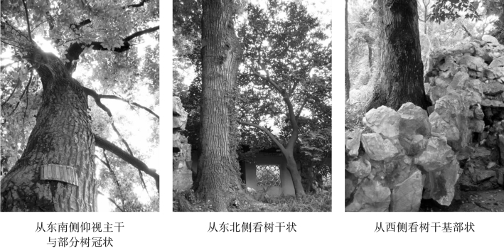 pagenumber_ebook=126,pagenumber_book=126