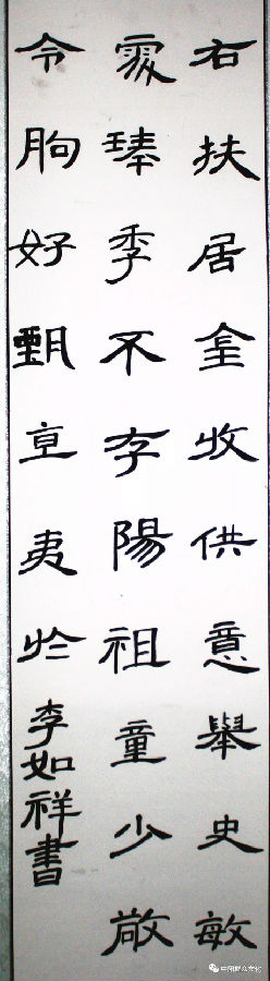 640.webp (43).jpg?v=1764880113128