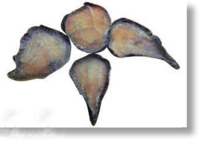 pagenumber_ebook=127,pagenumber_book=114