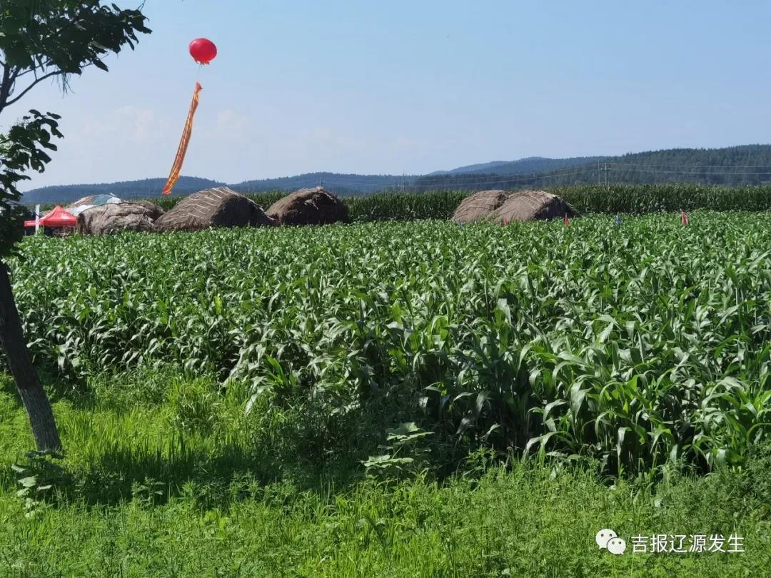 微信图片_20200819064233 微信图片_20200819064233