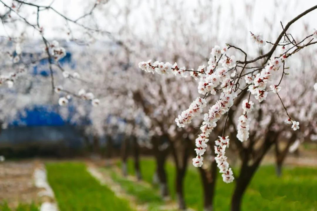 微信图片_20210406102523 微信图片_20210406102523.jpg