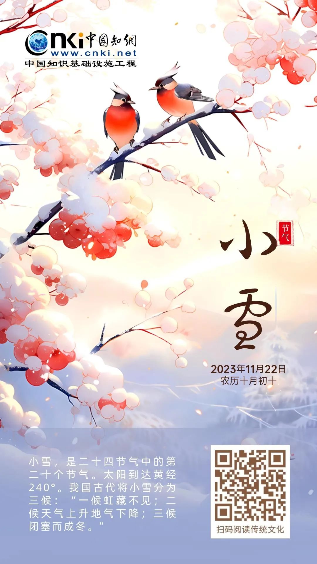 推 推.jpg?v=1765914146761