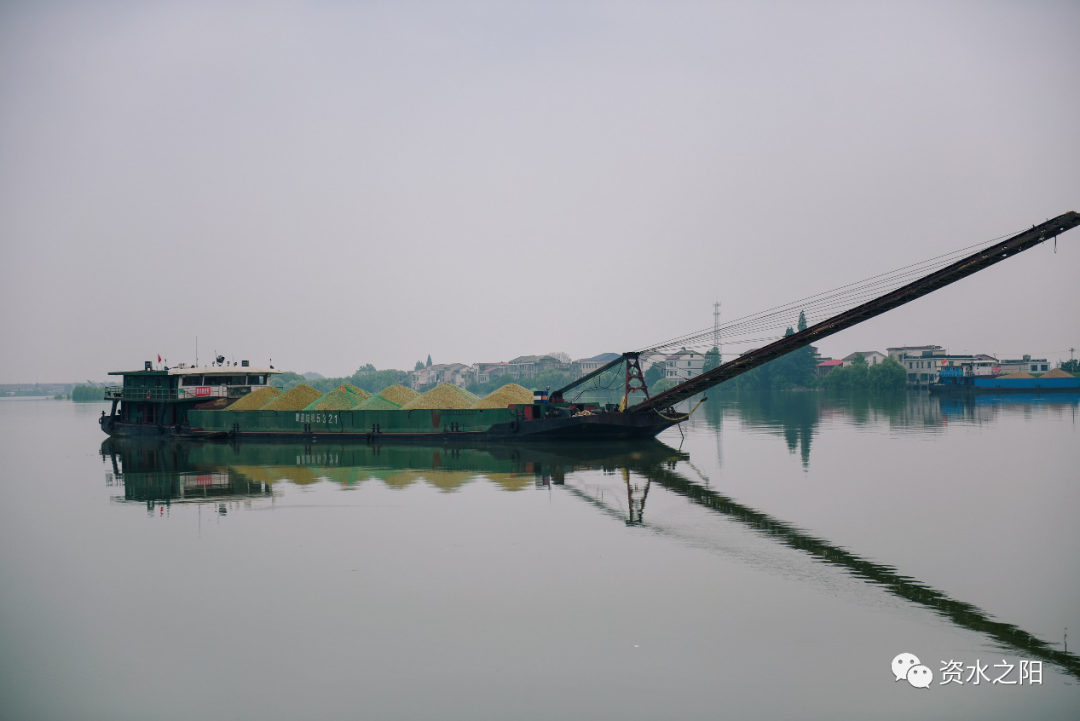 15 15.png?v=1765946446483