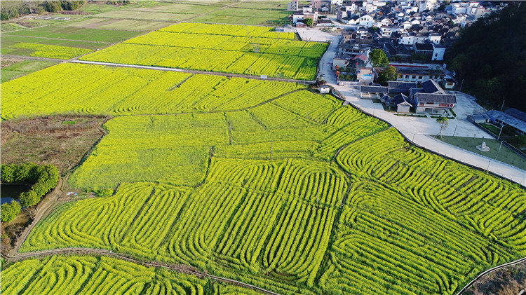 微信图片_20180308105041 微信图片_20180308105041.jpg?v=1772873343687