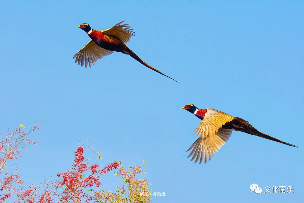 9f0405031c929637eb5003eb51faa5c1 9f0405031c929637eb5003eb51faa5c1.jpg