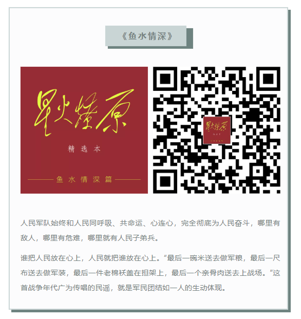 image image.png?v=1765886232745