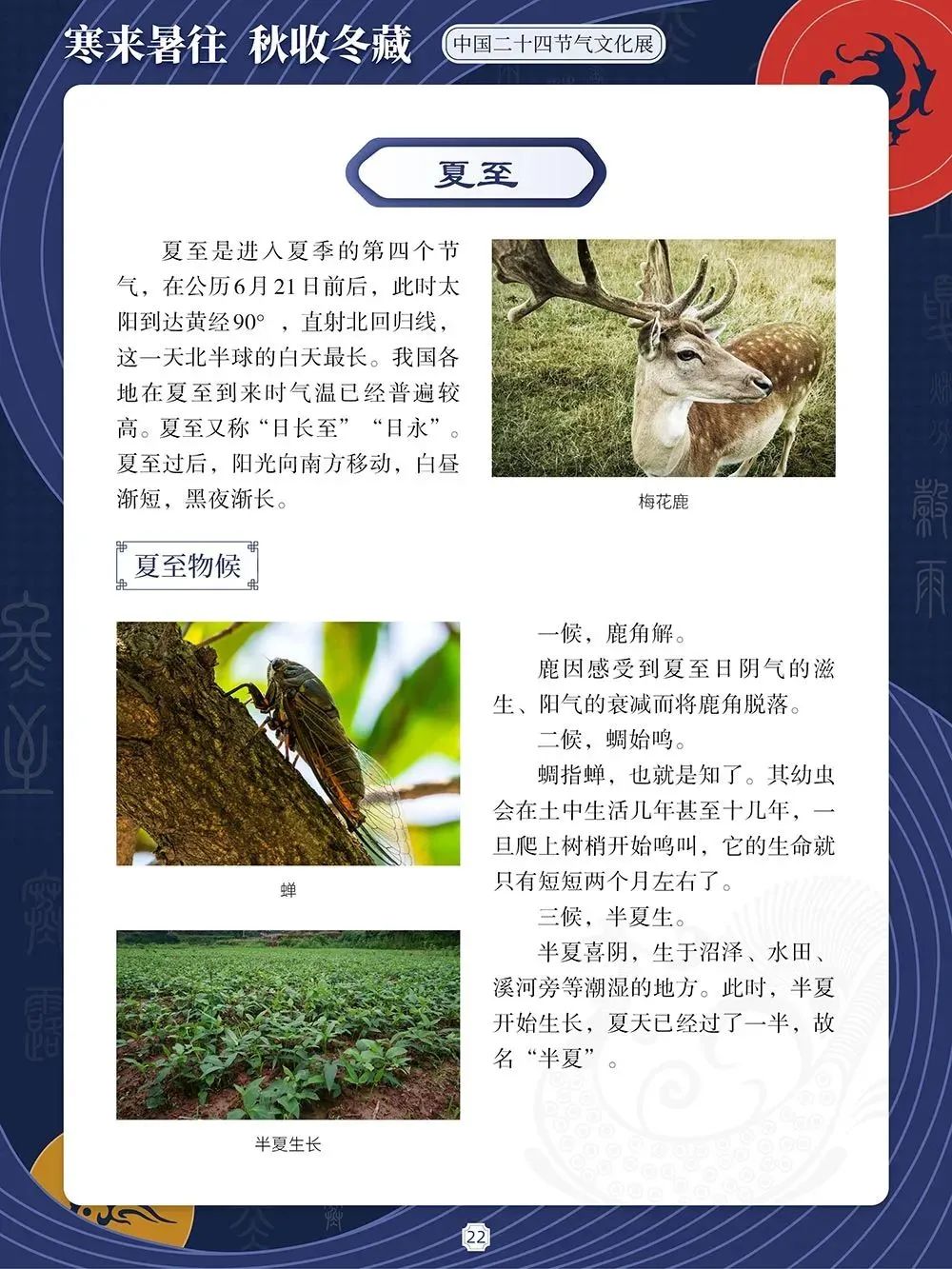 6fbb87ecf8ab7bda51bb9214a57f3e61 6fbb87ecf8ab7bda51bb9214a57f3e61.jpg