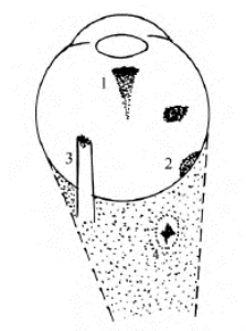 pagenumber_ebook=120,pagenumber_book=120