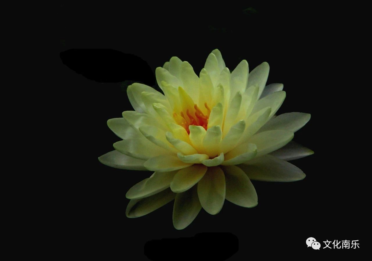 158c96f0e03c273017fd4ed4efde8098 158c96f0e03c273017fd4ed4efde8098.jpg