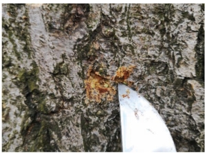 pagenumber_ebook=45,pagenumber_book=37