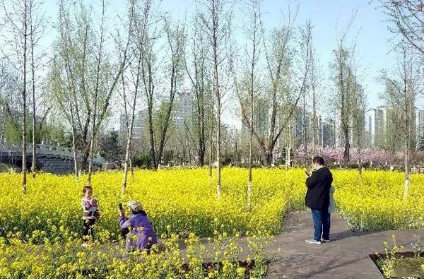 微信图片_20200407094903 微信图片_20200407094903.jpg