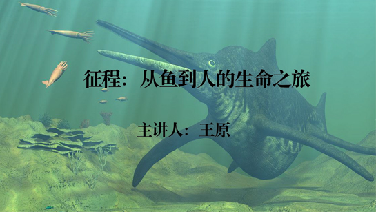 6804b525ed277b7382bd771485d39370 6804b525ed277b7382bd771485d39370.png?v=1762366644512