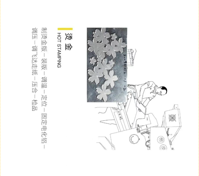 image.png?v=1757830622152