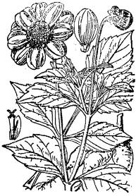 pagenumber_ebook=218,pagenumber_book=218