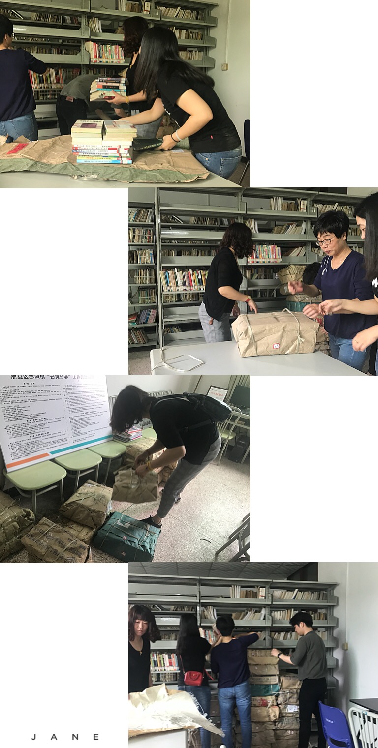 IMG_0210 IMG_0210.jpg?v=1762673325634