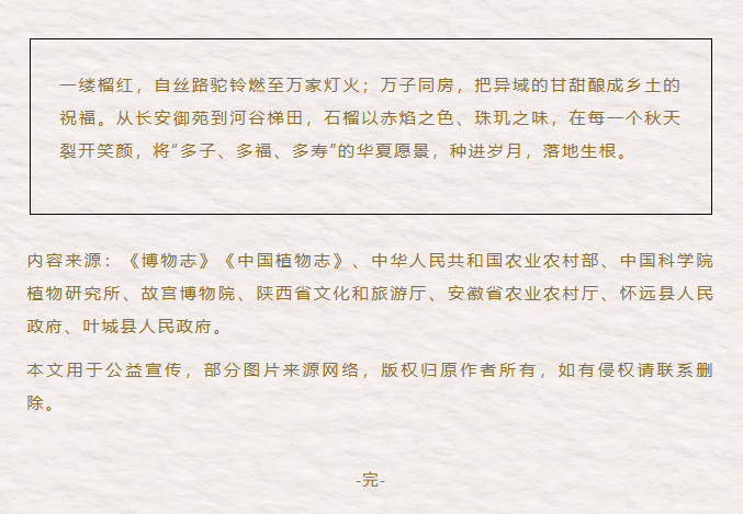 image.png?v=1762073883182