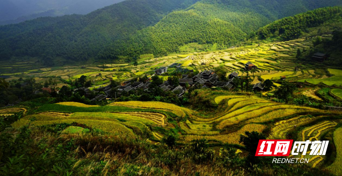 微信图片_20220519205117 微信图片_20220519205117.png