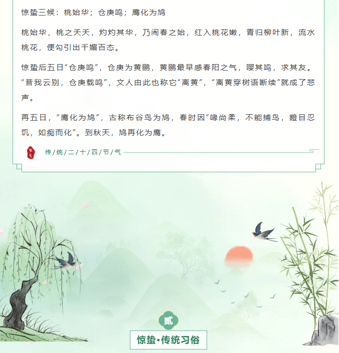 image.png?v=1774110509319