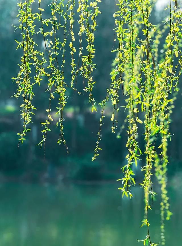 04b9-kmrcukz3893217 04b9-kmrcukz3893217