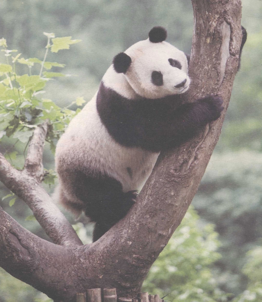 pagenumber_ebook=92,pagenumber_book=78