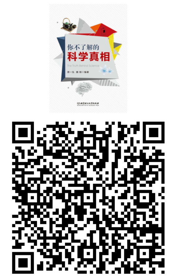 image image.png?v=1770116010294