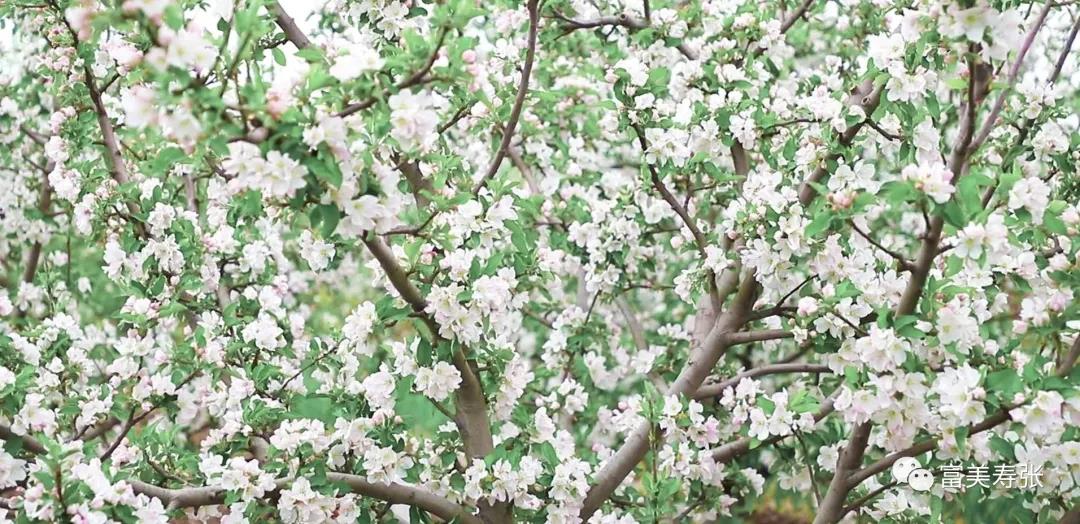 微信图片_20210409111200 微信图片_20210409111200.jpg