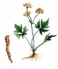 pagenumber_ebook=15,pagenumber_book=4