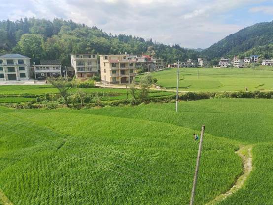 image012 image012.jpg