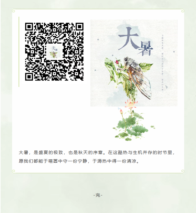 image.png?v=1785016524673