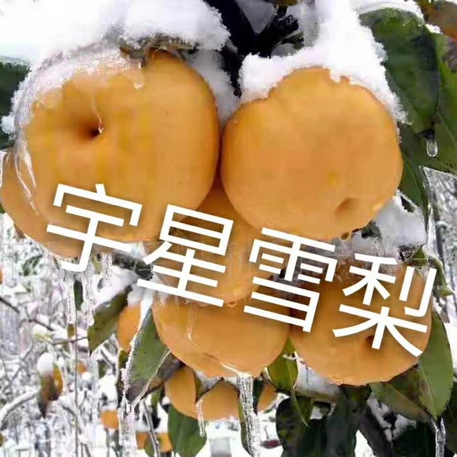 微信图片_20200923173705