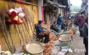 20170512170515_gi16jiplx7 20170512170515_gi16jiplx7.png?v=1773792133975