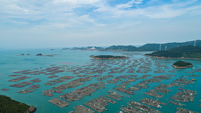 DM_20230203115637_008