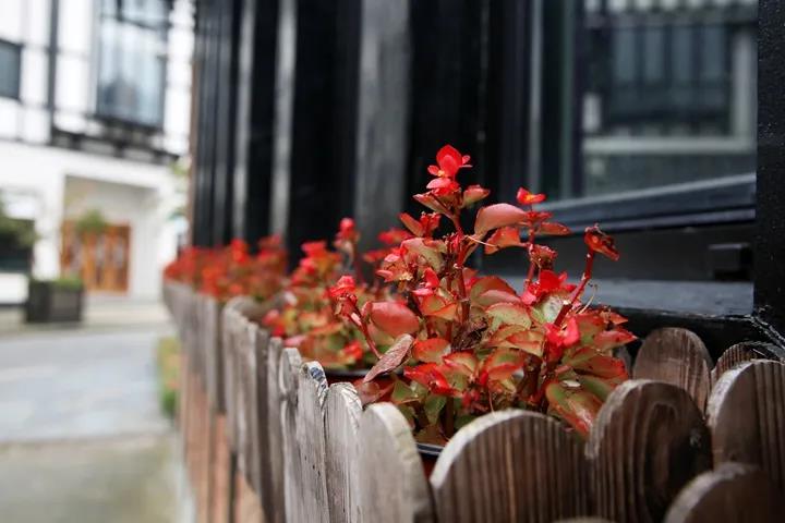 3 3.jpg?v=1762323971528