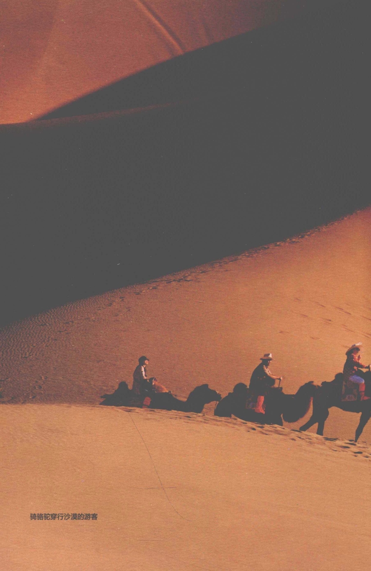 pagenumber_ebook=211,pagenumber_book=203