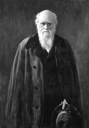 pagenumber_ebook=421,pagenumber_book=399