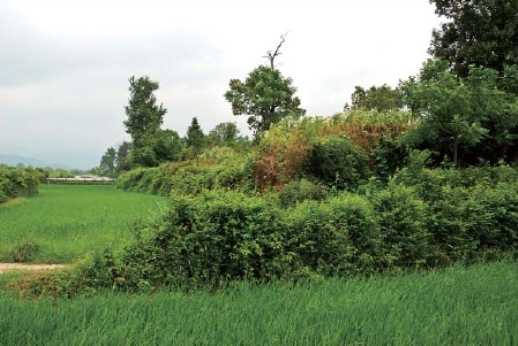 pagenumber_ebook=28,pagenumber_book=18