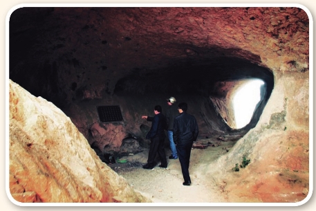 pagenumber_ebook=185,pagenumber_book=175