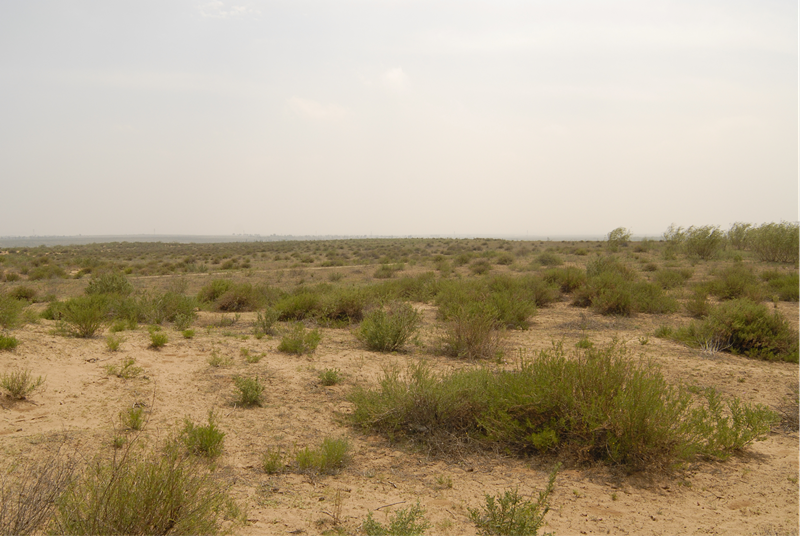 康仁梁城址南墙_副本