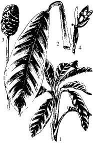 pagenumber_ebook=269,pagenumber_book=269