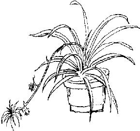 pagenumber_ebook=270,pagenumber_book=270