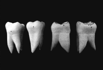 pagenumber_ebook=216,pagenumber_book=207