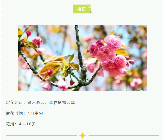 869131816fdd5b656dd954d2f719ad3apng