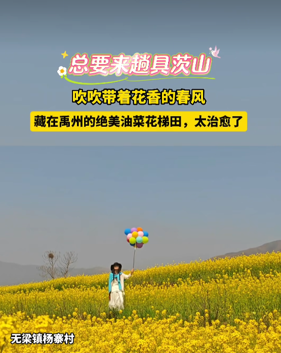513f185cce87fd62e224fae7570e5380png