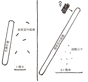 pagenumber_ebook=259,pagenumber_book=255