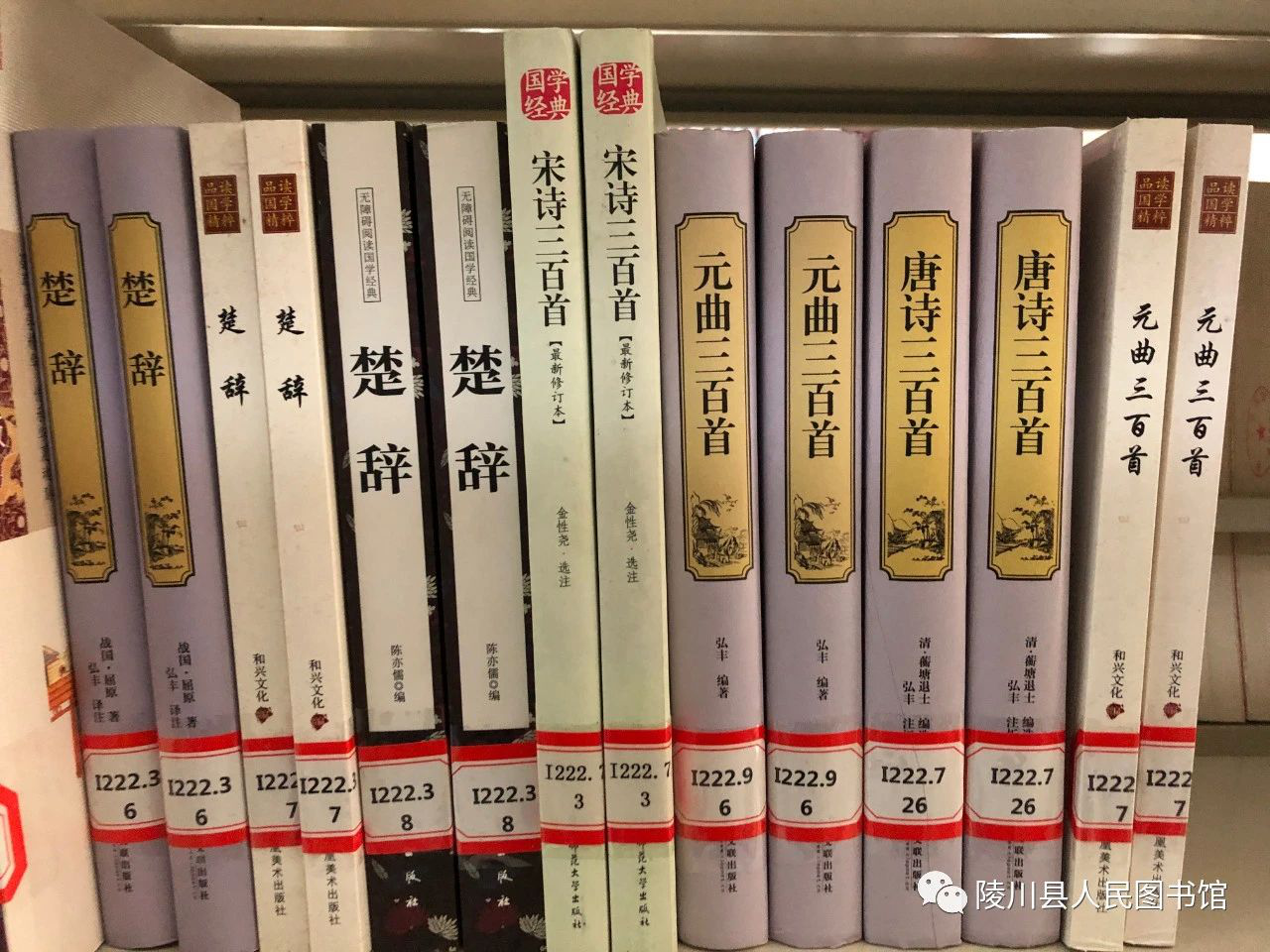 图片9 图片9.png?v=1766527933139