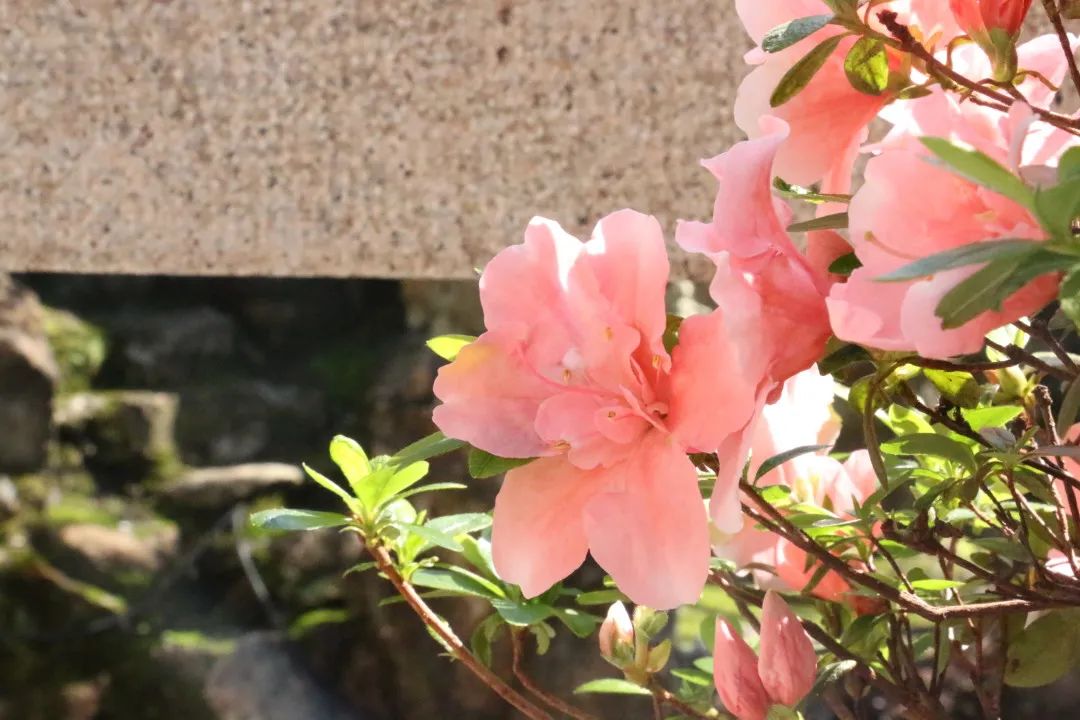 微信图片_20220301141504.jpg