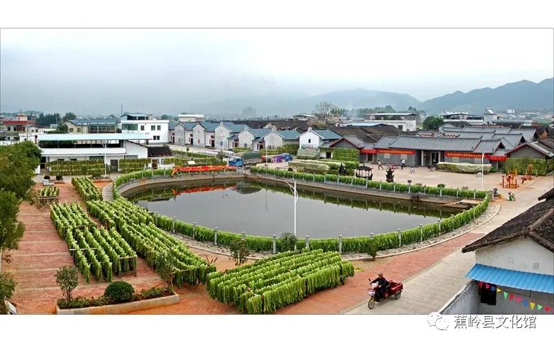 19 19.jpg?v=1765891042459