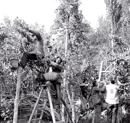 pagenumber_ebook=108,pagenumber_book=102