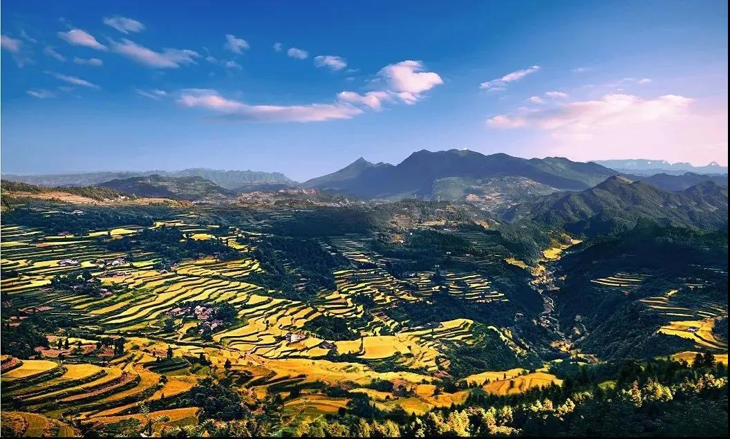 微信图片_20211201144905 微信图片_20211201144905.jpg