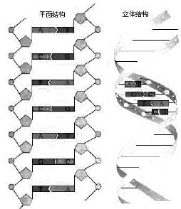 pagenumber_ebook=91,pagenumber_book=91